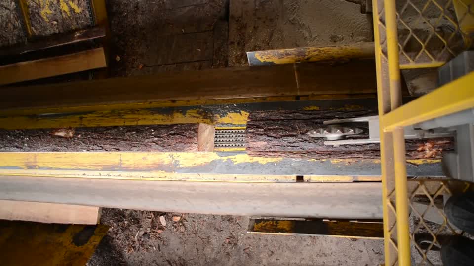 Sawmill cutting fresh lumber from a log