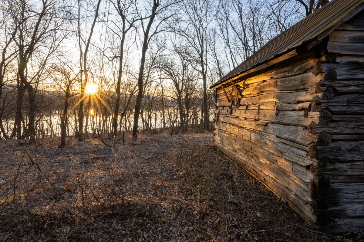 Log cabin in Minnesota woods at sunrise
